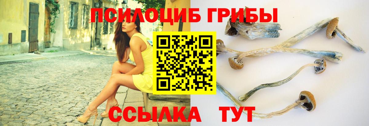 Выборг  Псилоцибиновые грибы Psilocybine cubensis  Галлюциногенные грибы ЛСД  Вход с VPN 